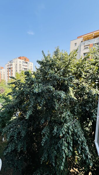 Parcul Tineretului, Str. Costache Stamate,Vacaresti, loc parcare, centrala