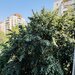 Parcul Tineretului, Str. Costache Stamate,Vacaresti, loc parcare, centrala